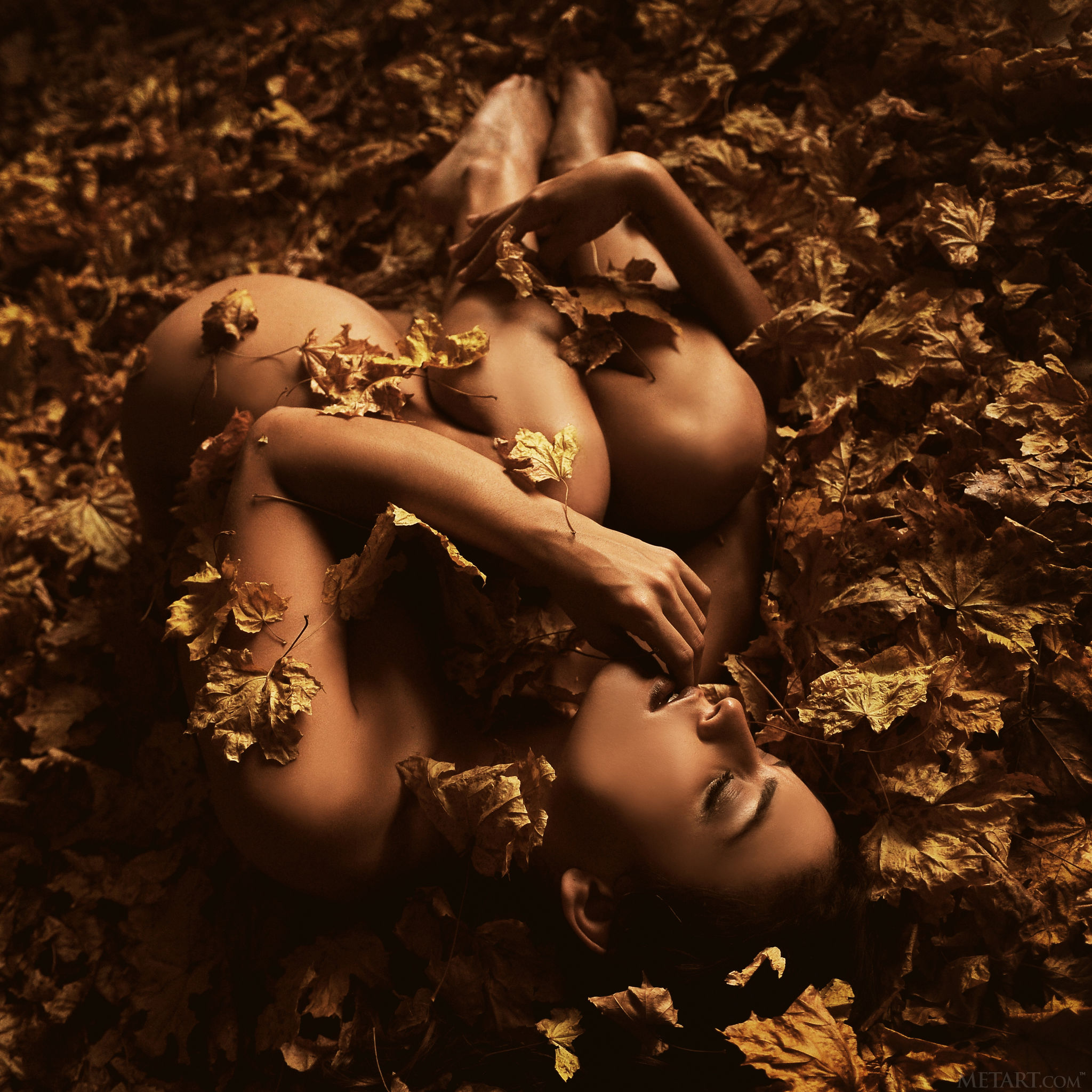 Joy Lamore Autumn Nude Met Art Picture