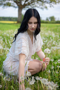 Sasha Jane Reclining Naked Among The Wild Flowers